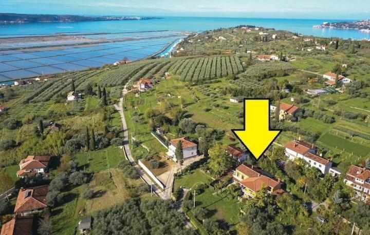 Vista Del Sal Apartment Portoroz Bagian luar foto
